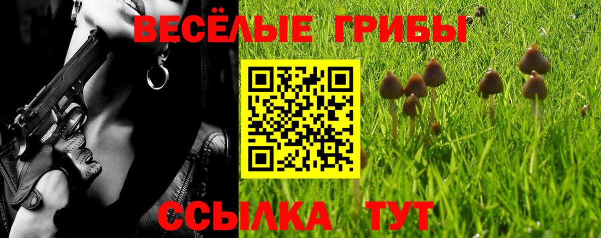 Сибай  где можно купить наркотик  Вход с VPN  Псилоцибиновые грибы Magic Shrooms 