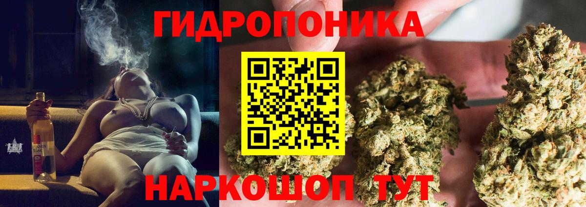 Каннабис гибрид Сибай